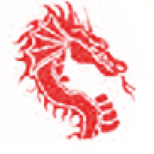Zmaj borilačka oprema logo
